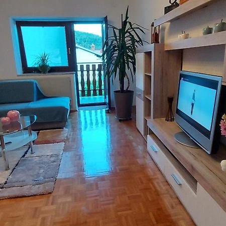 Apartma Pr' Ivani Miskorinovi Breginj Eksteriør billede