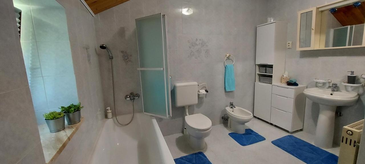 Apartma Pr' Ivani Miskorinovi Breginj Eksteriør billede